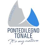 Logo Consorzio Tonale Ponte di Legno